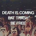 stop eating out of the dumpster