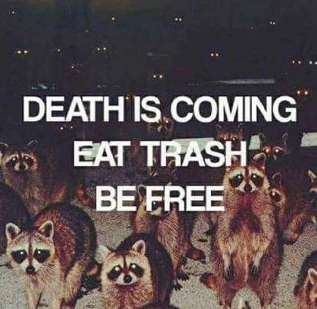 stop eating out of the dumpster